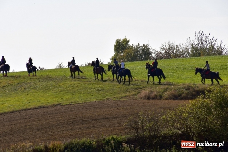 Zdjęcie w galerii na portalu naszraciborz.pl: Piękna pogoda, malownicze krajobrazy i pogoń za lisem – Hubertus w Kornowacu FOTO i WIDEO wiadomości z regionu