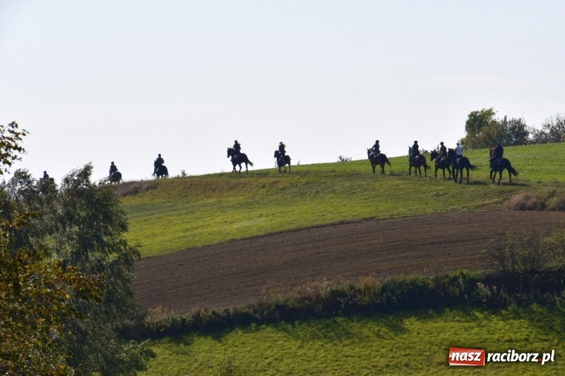 Zdjęcie w galerii na portalu naszraciborz.pl: Piękna pogoda, malownicze krajobrazy i pogoń za lisem – Hubertus w Kornowacu FOTO i WIDEO wiadomości z regionu