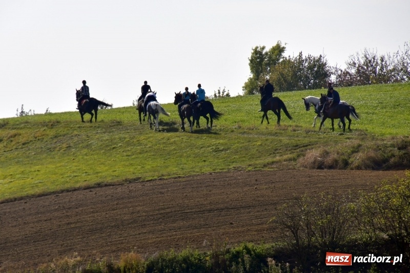 Zdjęcie w galerii na portalu naszraciborz.pl: Piękna pogoda, malownicze krajobrazy i pogoń za lisem – Hubertus w Kornowacu FOTO i WIDEO wiadomości z regionu