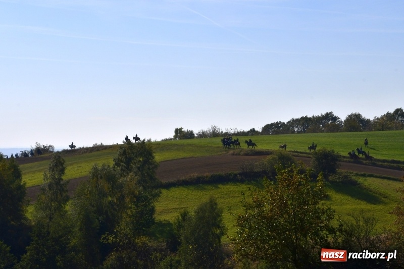 Zdjęcie w galerii na portalu naszraciborz.pl: Piękna pogoda, malownicze krajobrazy i pogoń za lisem – Hubertus w Kornowacu FOTO i WIDEO wiadomości z regionu