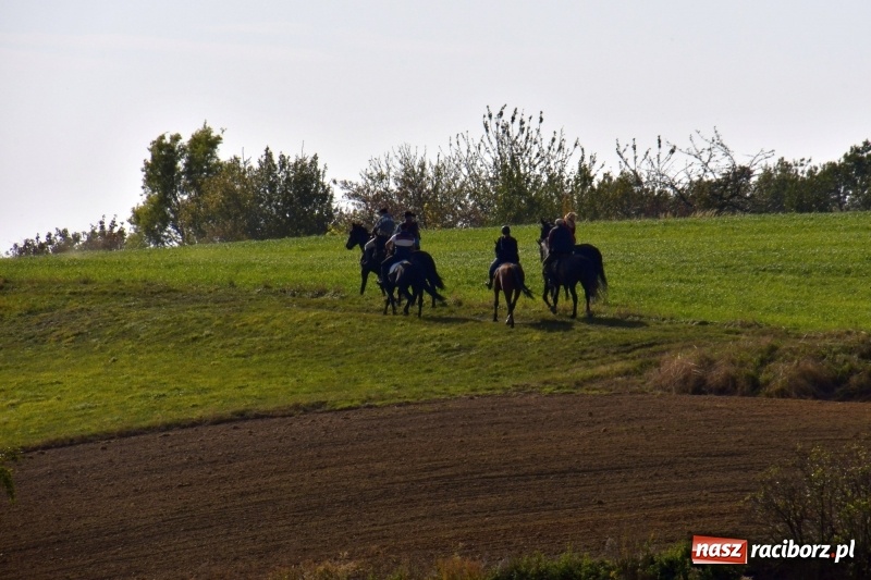 Zdjęcie w galerii na portalu naszraciborz.pl: Piękna pogoda, malownicze krajobrazy i pogoń za lisem – Hubertus w Kornowacu FOTO i WIDEO wiadomości z regionu