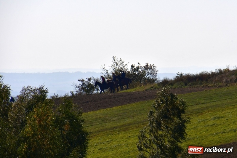 Zdjęcie w galerii na portalu naszraciborz.pl: Piękna pogoda, malownicze krajobrazy i pogoń za lisem – Hubertus w Kornowacu FOTO i WIDEO wiadomości z regionu