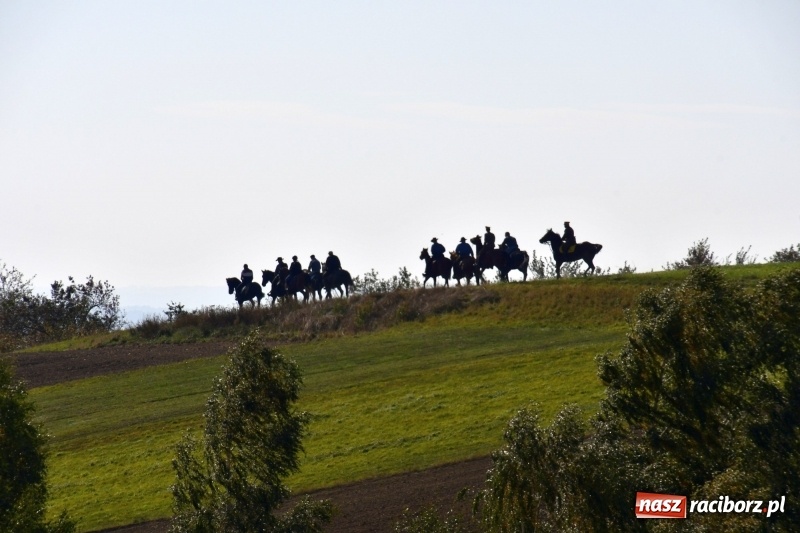 Zdjęcie w galerii na portalu naszraciborz.pl: Piękna pogoda, malownicze krajobrazy i pogoń za lisem – Hubertus w Kornowacu FOTO i WIDEO wiadomości z regionu