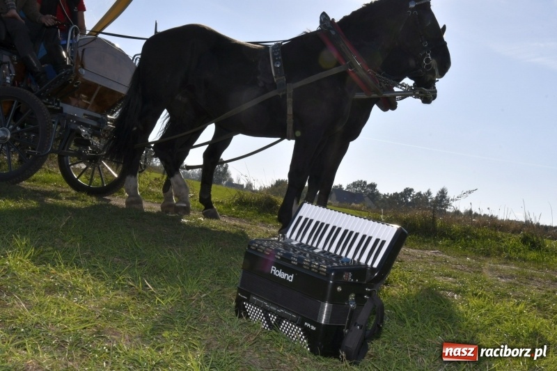 Zdjęcie w galerii na portalu naszraciborz.pl: Piękna pogoda, malownicze krajobrazy i pogoń za lisem – Hubertus w Kornowacu FOTO i WIDEO wiadomości z regionu