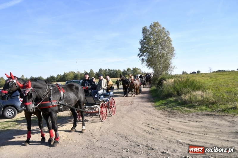 Zdjęcie w galerii na portalu naszraciborz.pl: Piękna pogoda, malownicze krajobrazy i pogoń za lisem – Hubertus w Kornowacu FOTO i WIDEO wiadomości z regionu