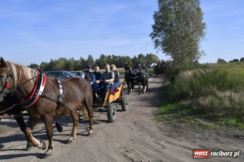 Zdjęcie w galerii na portalu naszraciborz.pl: Piękna pogoda, malownicze krajobrazy i pogoń za lisem – Hubertus w Kornowacu FOTO i WIDEO wiadomości z regionu