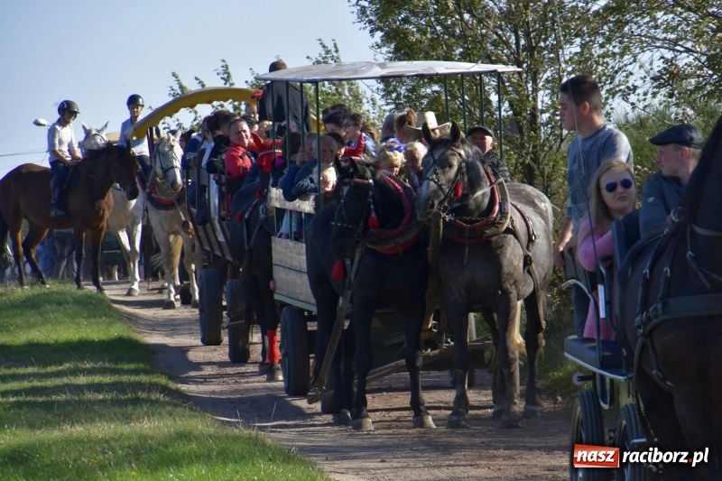 Zdjęcie w galerii na portalu naszraciborz.pl: Piękna pogoda, malownicze krajobrazy i pogoń za lisem – Hubertus w Kornowacu FOTO i WIDEO wiadomości z regionu