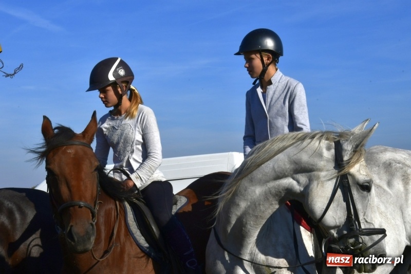 Zdjęcie w galerii na portalu naszraciborz.pl: Piękna pogoda, malownicze krajobrazy i pogoń za lisem – Hubertus w Kornowacu FOTO i WIDEO wiadomości z regionu