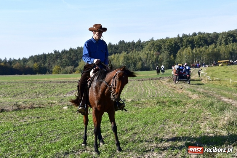 Zdjęcie w galerii na portalu naszraciborz.pl: Piękna pogoda, malownicze krajobrazy i pogoń za lisem – Hubertus w Kornowacu FOTO i WIDEO wiadomości z regionu