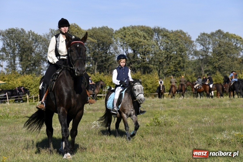 Zdjęcie w galerii na portalu naszraciborz.pl: Piękna pogoda, malownicze krajobrazy i pogoń za lisem – Hubertus w Kornowacu FOTO i WIDEO wiadomości z regionu