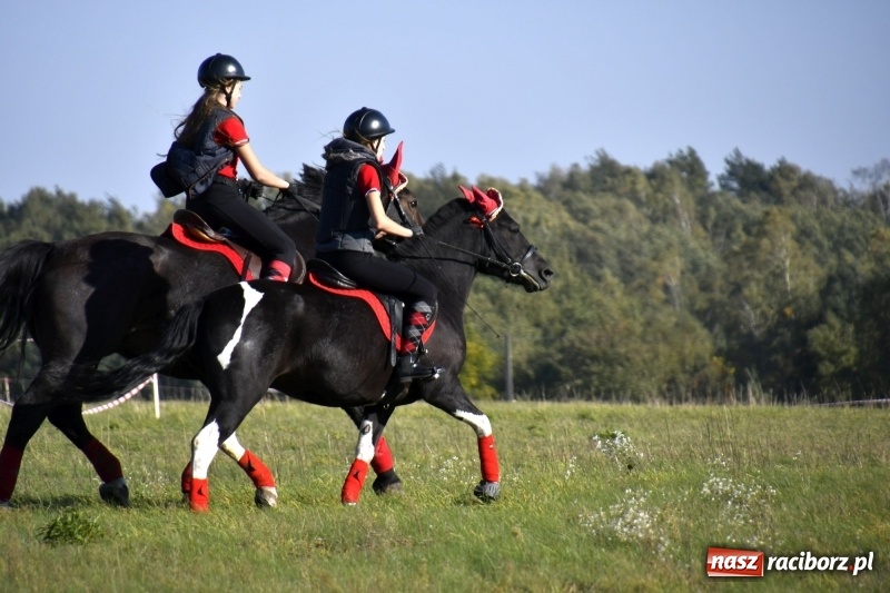 Zdjęcie w galerii na portalu naszraciborz.pl: Piękna pogoda, malownicze krajobrazy i pogoń za lisem – Hubertus w Kornowacu FOTO i WIDEO wiadomości z regionu