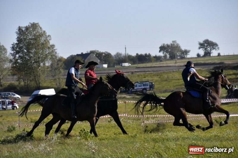 Zdjęcie w galerii na portalu naszraciborz.pl: Piękna pogoda, malownicze krajobrazy i pogoń za lisem – Hubertus w Kornowacu FOTO i WIDEO wiadomości z regionu