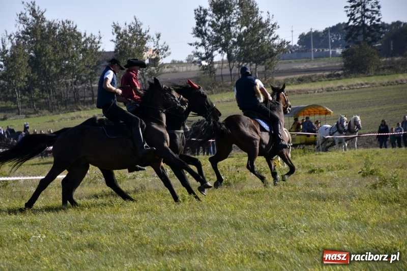 Zdjęcie w galerii na portalu naszraciborz.pl: Piękna pogoda, malownicze krajobrazy i pogoń za lisem – Hubertus w Kornowacu FOTO i WIDEO wiadomości z regionu