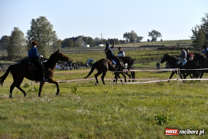 Zdjęcie w galerii na portalu naszraciborz.pl: Piękna pogoda, malownicze krajobrazy i pogoń za lisem – Hubertus w Kornowacu FOTO i WIDEO wiadomości z regionu