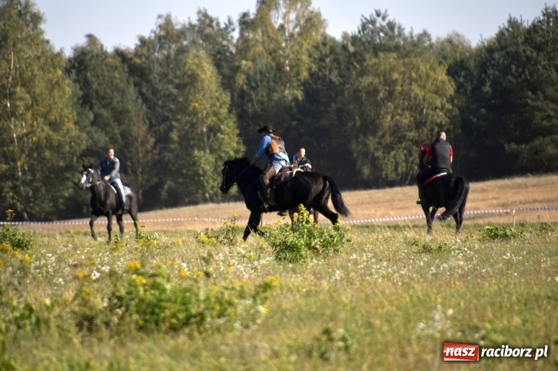 Zdjęcie w galerii na portalu naszraciborz.pl: Piękna pogoda, malownicze krajobrazy i pogoń za lisem – Hubertus w Kornowacu FOTO i WIDEO wiadomości z regionu