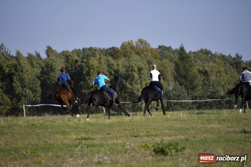 Zdjęcie w galerii na portalu naszraciborz.pl: Piękna pogoda, malownicze krajobrazy i pogoń za lisem – Hubertus w Kornowacu FOTO i WIDEO wiadomości z regionu