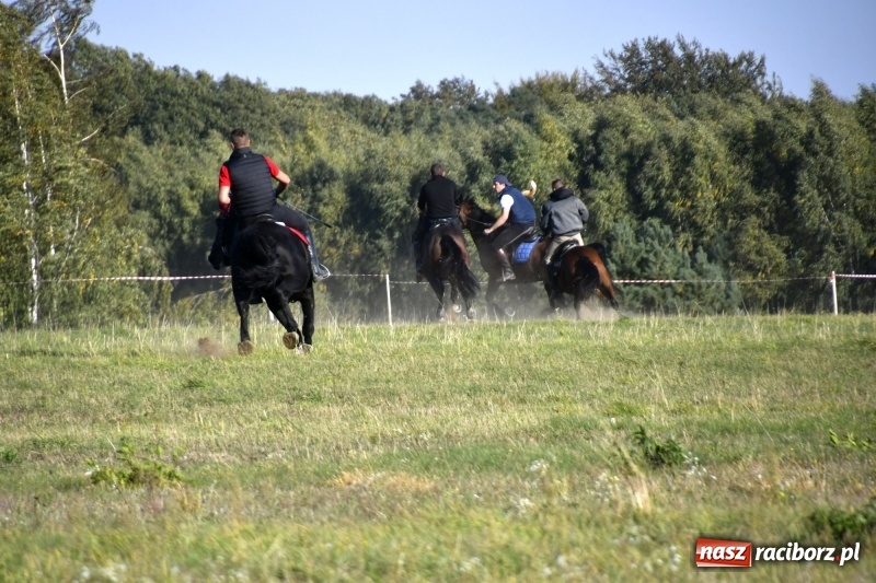 Zdjęcie w galerii na portalu naszraciborz.pl: Piękna pogoda, malownicze krajobrazy i pogoń za lisem – Hubertus w Kornowacu FOTO i WIDEO wiadomości z regionu