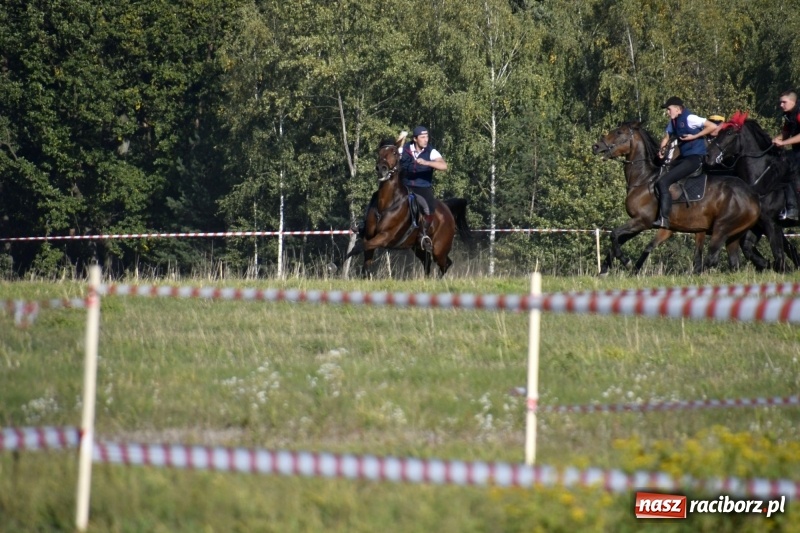 Zdjęcie w galerii na portalu naszraciborz.pl: Piękna pogoda, malownicze krajobrazy i pogoń za lisem – Hubertus w Kornowacu FOTO i WIDEO wiadomości z regionu