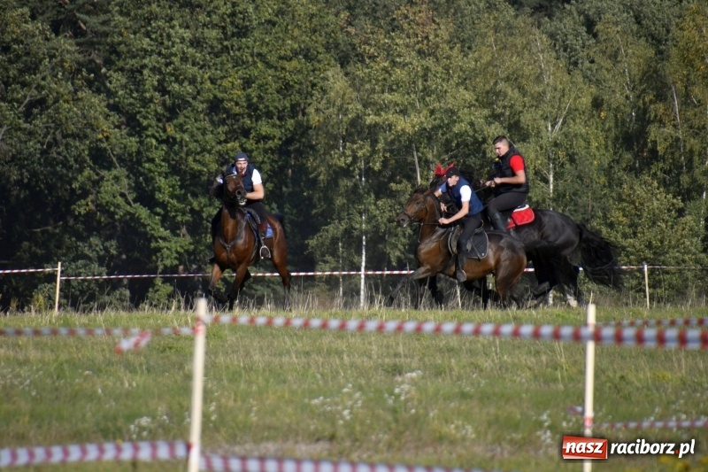 Zdjęcie w galerii na portalu naszraciborz.pl: Piękna pogoda, malownicze krajobrazy i pogoń za lisem – Hubertus w Kornowacu FOTO i WIDEO wiadomości z regionu