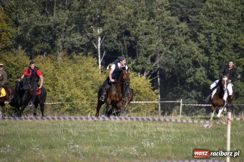 Zdjęcie w galerii na portalu naszraciborz.pl: Piękna pogoda, malownicze krajobrazy i pogoń za lisem – Hubertus w Kornowacu FOTO i WIDEO wiadomości z regionu