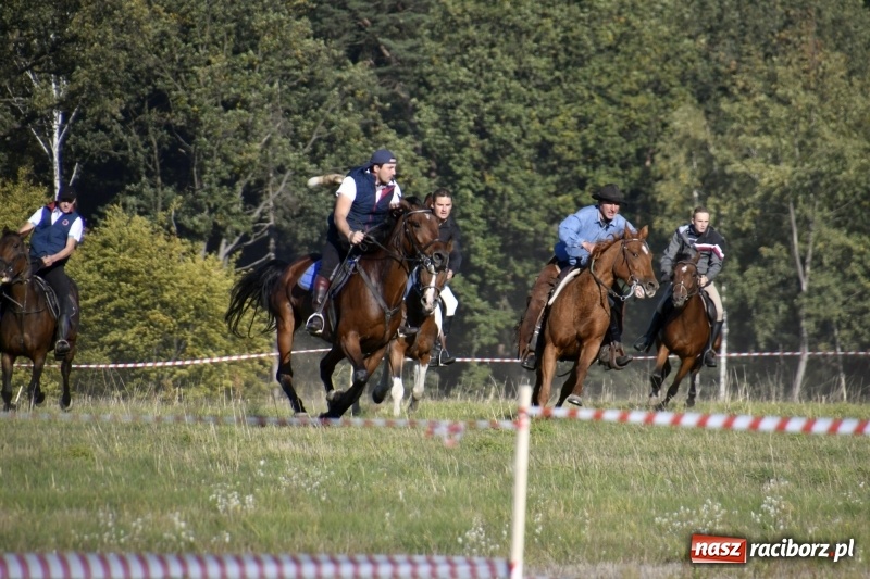Zdjęcie w galerii na portalu naszraciborz.pl: Piękna pogoda, malownicze krajobrazy i pogoń za lisem – Hubertus w Kornowacu FOTO i WIDEO wiadomości z regionu