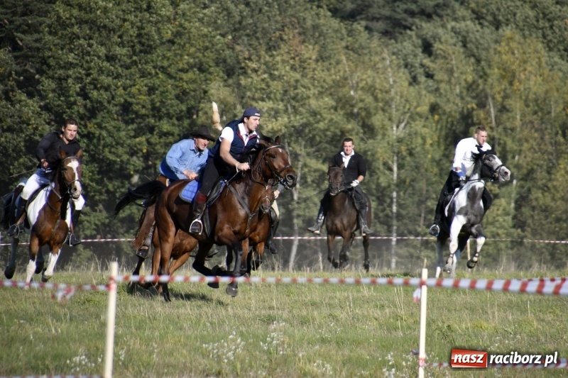Zdjęcie w galerii na portalu naszraciborz.pl: Piękna pogoda, malownicze krajobrazy i pogoń za lisem – Hubertus w Kornowacu FOTO i WIDEO wiadomości z regionu