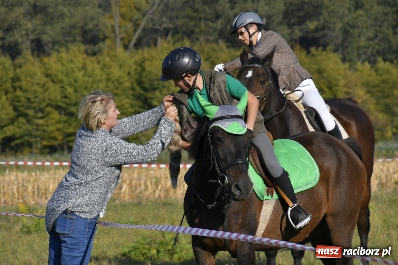 Zdjęcie w galerii na portalu naszraciborz.pl: Piękna pogoda, malownicze krajobrazy i pogoń za lisem – Hubertus w Kornowacu FOTO i WIDEO wiadomości z regionu