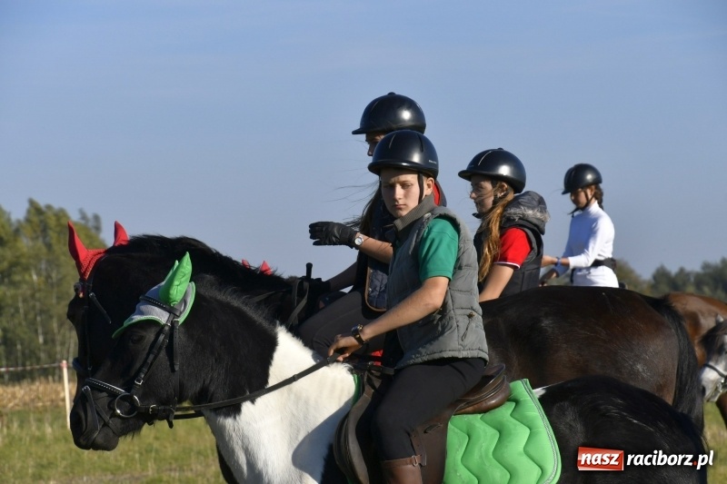 Zdjęcie w galerii na portalu naszraciborz.pl: Piękna pogoda, malownicze krajobrazy i pogoń za lisem – Hubertus w Kornowacu FOTO i WIDEO wiadomości z regionu