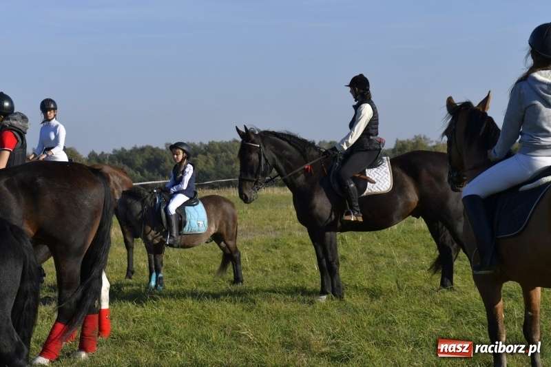 Zdjęcie w galerii na portalu naszraciborz.pl: Piękna pogoda, malownicze krajobrazy i pogoń za lisem – Hubertus w Kornowacu FOTO i WIDEO wiadomości z regionu
