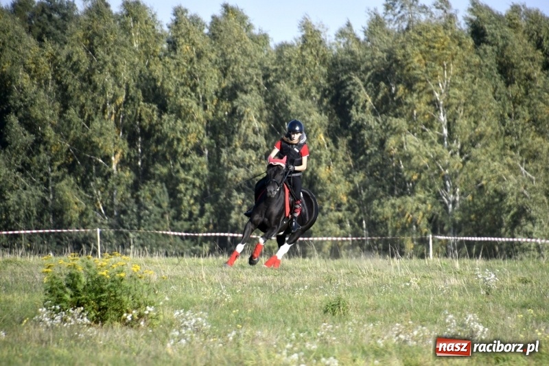 Zdjęcie w galerii na portalu naszraciborz.pl: Piękna pogoda, malownicze krajobrazy i pogoń za lisem – Hubertus w Kornowacu FOTO i WIDEO wiadomości z regionu