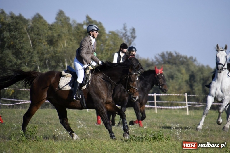Zdjęcie w galerii na portalu naszraciborz.pl: Piękna pogoda, malownicze krajobrazy i pogoń za lisem – Hubertus w Kornowacu FOTO i WIDEO wiadomości z regionu