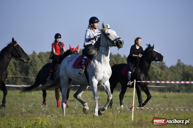 Zdjęcie w galerii na portalu naszraciborz.pl: Piękna pogoda, malownicze krajobrazy i pogoń za lisem – Hubertus w Kornowacu FOTO i WIDEO wiadomości z regionu