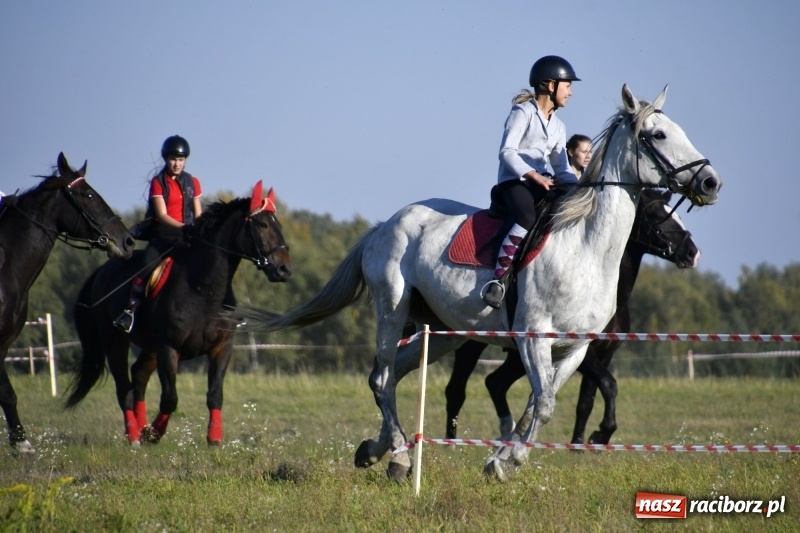 Zdjęcie w galerii na portalu naszraciborz.pl: Piękna pogoda, malownicze krajobrazy i pogoń za lisem – Hubertus w Kornowacu FOTO i WIDEO wiadomości z regionu
