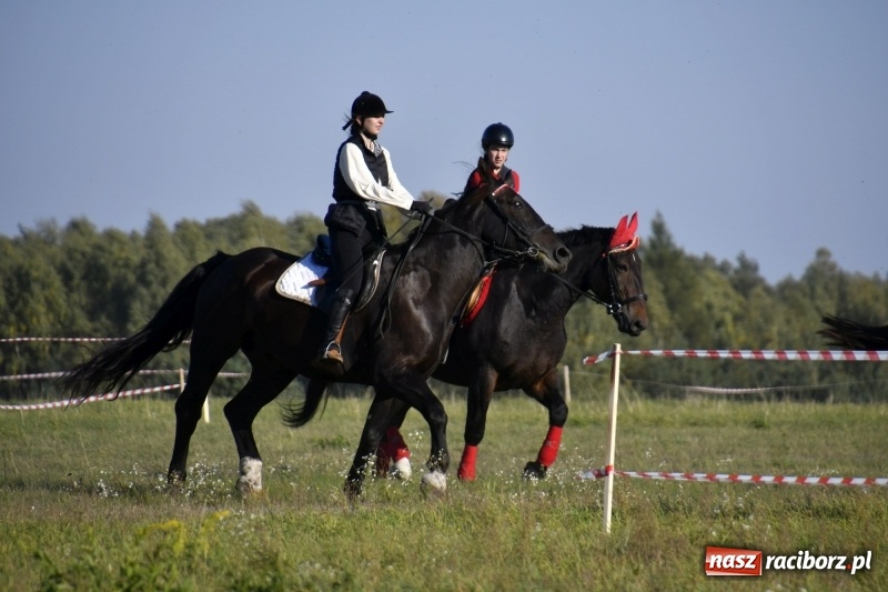 Zdjęcie w galerii na portalu naszraciborz.pl: Piękna pogoda, malownicze krajobrazy i pogoń za lisem – Hubertus w Kornowacu FOTO i WIDEO wiadomości z regionu