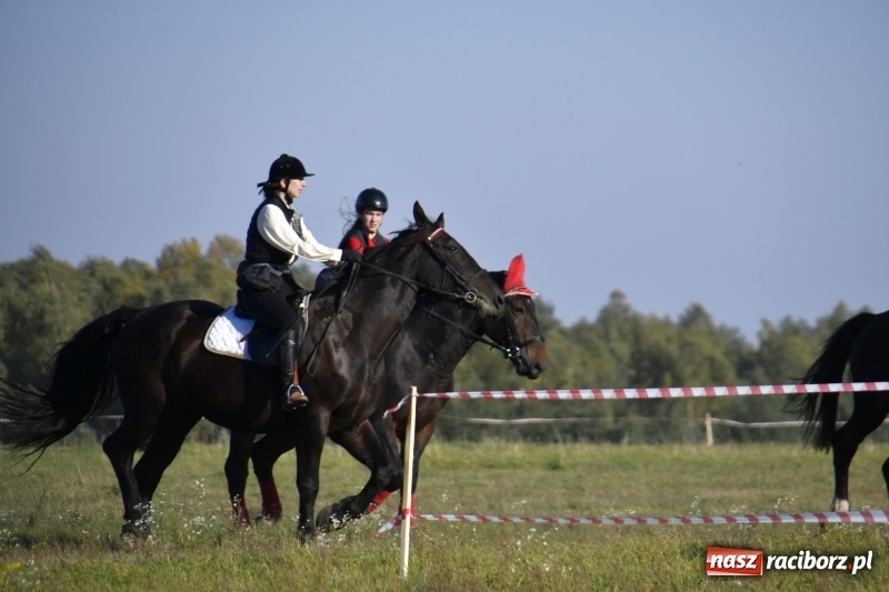 Zdjęcie w galerii na portalu naszraciborz.pl: Piękna pogoda, malownicze krajobrazy i pogoń za lisem – Hubertus w Kornowacu FOTO i WIDEO wiadomości z regionu
