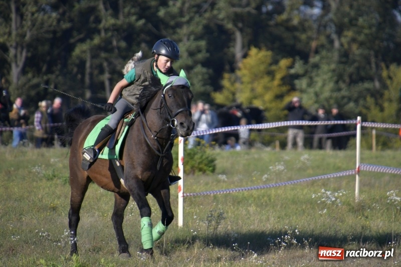 Zdjęcie w galerii na portalu naszraciborz.pl: Piękna pogoda, malownicze krajobrazy i pogoń za lisem – Hubertus w Kornowacu FOTO i WIDEO wiadomości z regionu