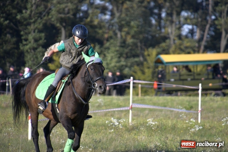 Zdjęcie w galerii na portalu naszraciborz.pl: Piękna pogoda, malownicze krajobrazy i pogoń za lisem – Hubertus w Kornowacu FOTO i WIDEO wiadomości z regionu