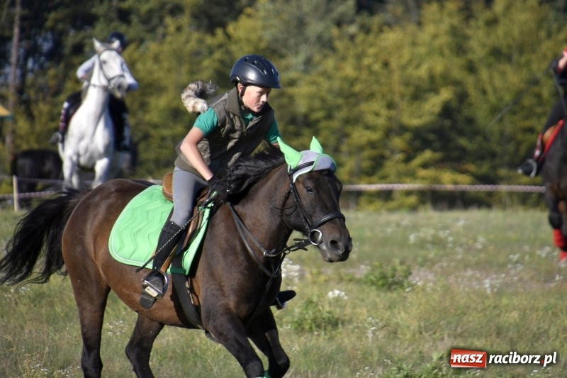 Zdjęcie w galerii na portalu naszraciborz.pl: Piękna pogoda, malownicze krajobrazy i pogoń za lisem – Hubertus w Kornowacu FOTO i WIDEO wiadomości z regionu