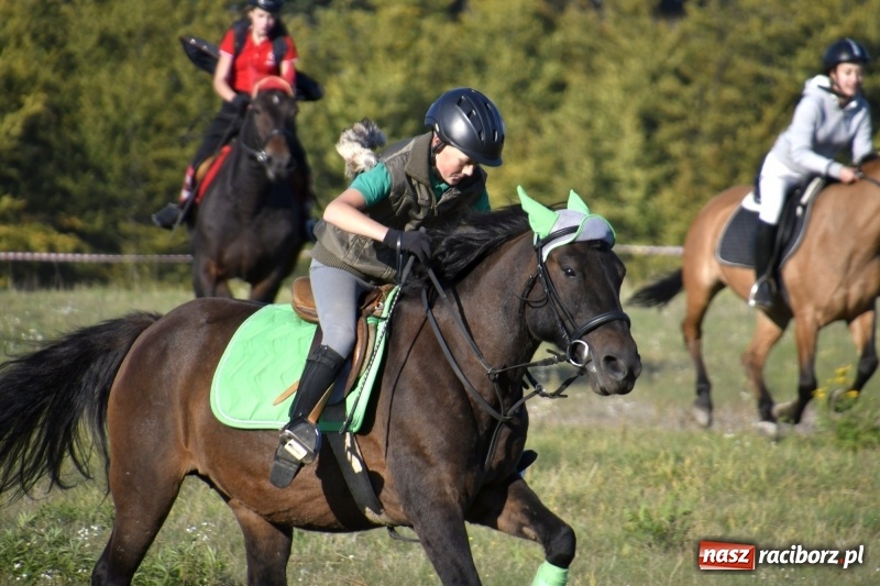 Zdjęcie w galerii na portalu naszraciborz.pl: Piękna pogoda, malownicze krajobrazy i pogoń za lisem – Hubertus w Kornowacu FOTO i WIDEO wiadomości z regionu