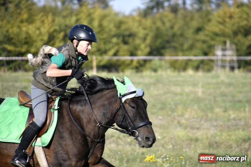 Zdjęcie w galerii na portalu naszraciborz.pl: Piękna pogoda, malownicze krajobrazy i pogoń za lisem – Hubertus w Kornowacu FOTO i WIDEO wiadomości z regionu