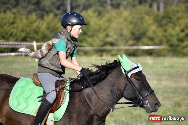 Zdjęcie w galerii na portalu naszraciborz.pl: Piękna pogoda, malownicze krajobrazy i pogoń za lisem – Hubertus w Kornowacu FOTO i WIDEO wiadomości z regionu