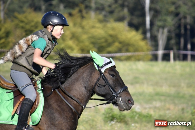 Zdjęcie w galerii na portalu naszraciborz.pl: Piękna pogoda, malownicze krajobrazy i pogoń za lisem – Hubertus w Kornowacu FOTO i WIDEO wiadomości z regionu