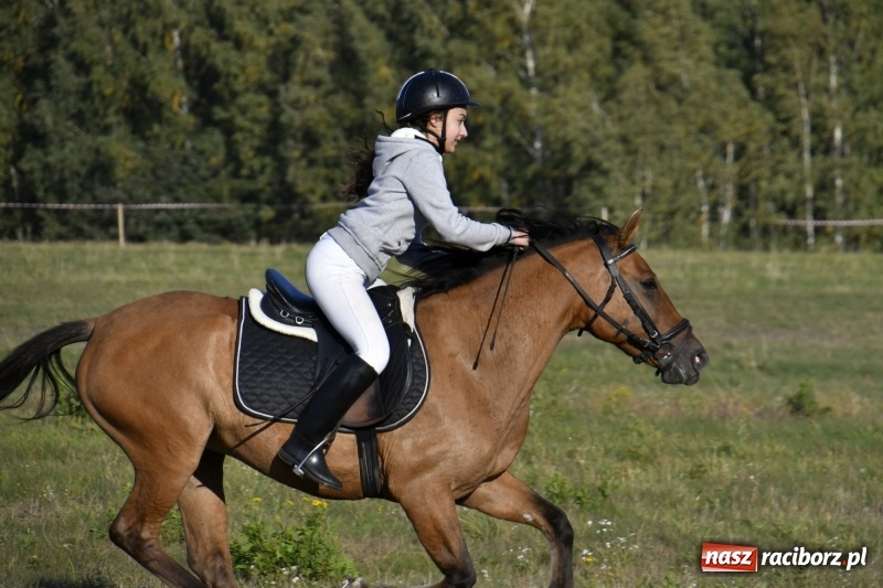Zdjęcie w galerii na portalu naszraciborz.pl: Piękna pogoda, malownicze krajobrazy i pogoń za lisem – Hubertus w Kornowacu FOTO i WIDEO wiadomości z regionu