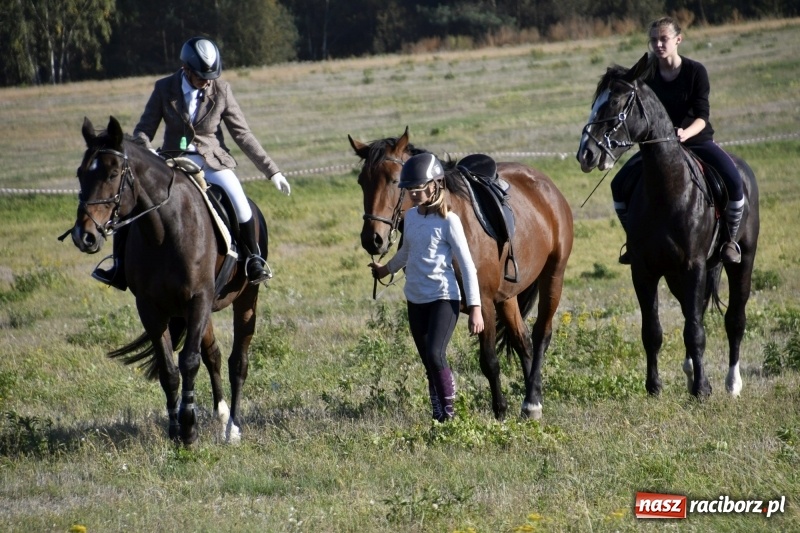 Zdjęcie w galerii na portalu naszraciborz.pl: Piękna pogoda, malownicze krajobrazy i pogoń za lisem – Hubertus w Kornowacu FOTO i WIDEO wiadomości z regionu