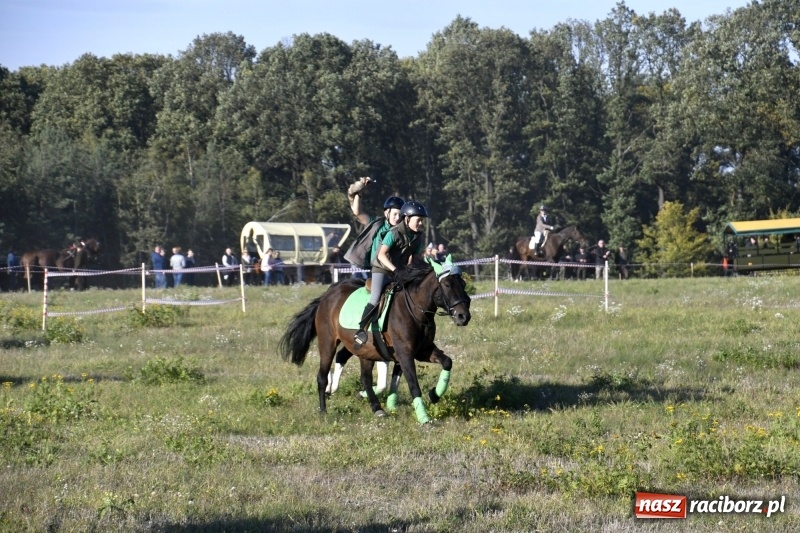 Zdjęcie w galerii na portalu naszraciborz.pl: Piękna pogoda, malownicze krajobrazy i pogoń za lisem – Hubertus w Kornowacu FOTO i WIDEO wiadomości z regionu