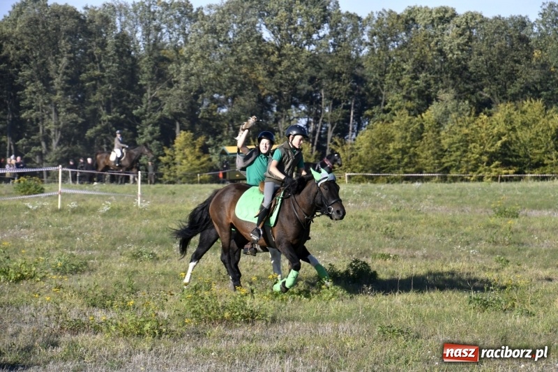 Zdjęcie w galerii na portalu naszraciborz.pl: Piękna pogoda, malownicze krajobrazy i pogoń za lisem – Hubertus w Kornowacu FOTO i WIDEO wiadomości z regionu