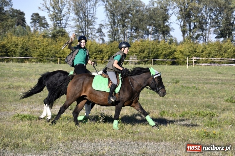 Zdjęcie w galerii na portalu naszraciborz.pl: Piękna pogoda, malownicze krajobrazy i pogoń za lisem – Hubertus w Kornowacu FOTO i WIDEO wiadomości z regionu