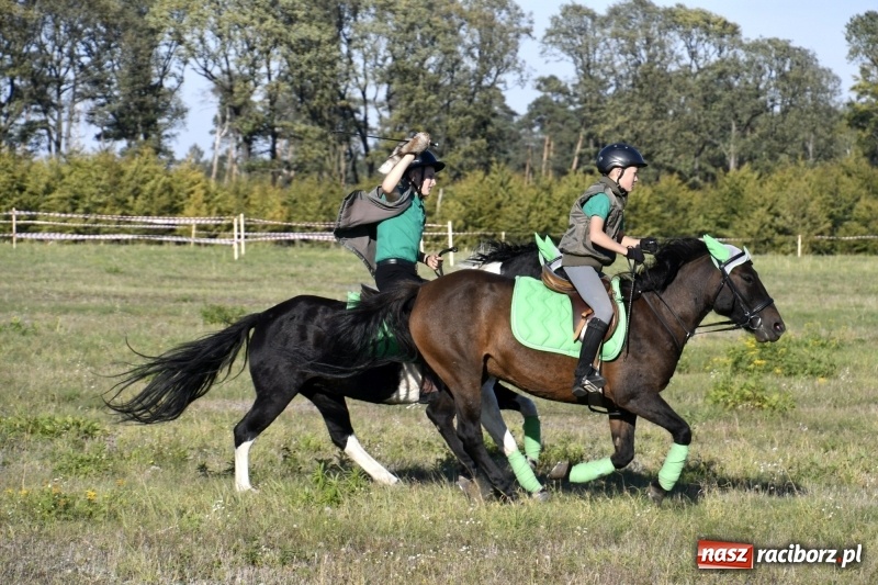 Zdjęcie w galerii na portalu naszraciborz.pl: Piękna pogoda, malownicze krajobrazy i pogoń za lisem – Hubertus w Kornowacu FOTO i WIDEO wiadomości z regionu