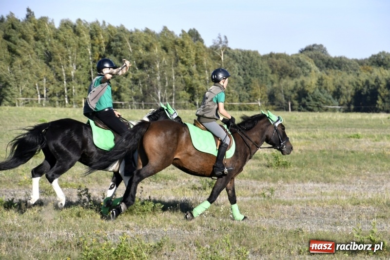 Zdjęcie w galerii na portalu naszraciborz.pl: Piękna pogoda, malownicze krajobrazy i pogoń za lisem – Hubertus w Kornowacu FOTO i WIDEO wiadomości z regionu