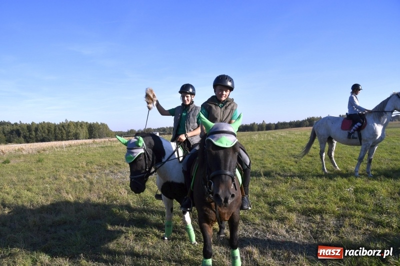 Zdjęcie w galerii na portalu naszraciborz.pl: Piękna pogoda, malownicze krajobrazy i pogoń za lisem – Hubertus w Kornowacu FOTO i WIDEO wiadomości z regionu